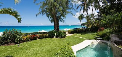 Old Trees 201 - The Casuarinas