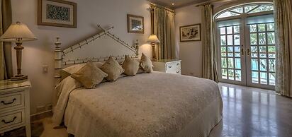 Old Trees 201 - The Casuarinas