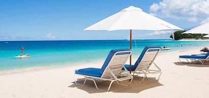 Old Trees 201 - The Casuarinas