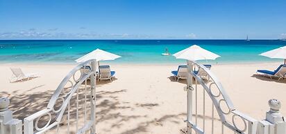 Old Trees 201 - The Casuarinas