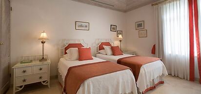 Old Trees 201 - The Casuarinas