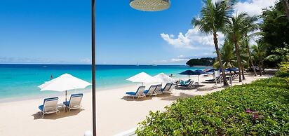 Old Trees 201 - The Casuarinas