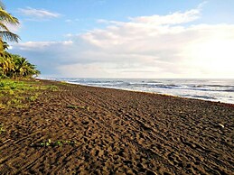 Casa Turtle Bogue - Hostel