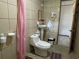 Casa Turtle Bogue - Hostel