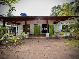 Casa Turtle Bogue - Hostel