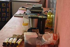 Casa Turtle Bogue - Hostel