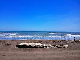 Casa Turtle Bogue - Hostel