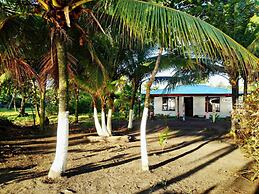 Casa Turtle Bogue - Hostel