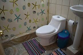 Casa Turtle Bogue - Hostel