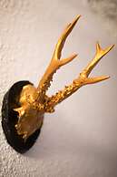 Hostal Cisco de Sans