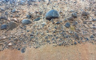 Ariana Eco Suites - Adults Only