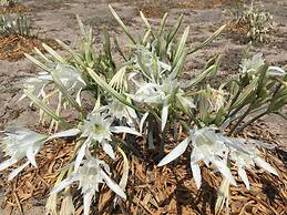 Ariana Eco Suites - Adults Only