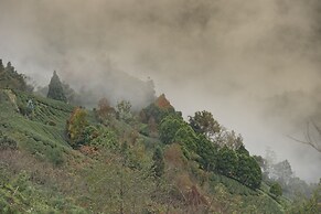 Guan Wu Chia Cao