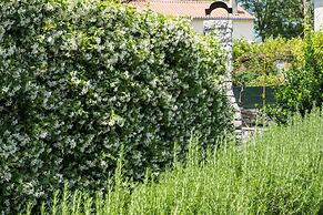 Unique Antistress Oasis Villa Antiqua