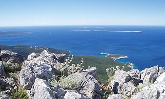 Unique Antistress Oasis Villa Antiqua