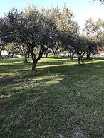 B&B Ripari di Giobbe