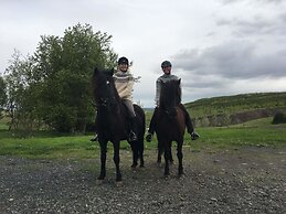 Guesthouse Steinsholt