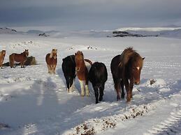 Guesthouse Steinsholt