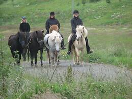 Guesthouse Steinsholt