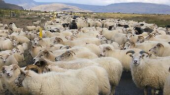 Guesthouse Steinsholt