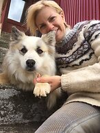 Guesthouse Steinsholt