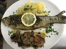 L'Agapanthe