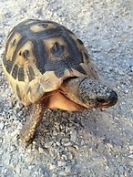 Gansbaai Seafront Holiday House: Ons C-huis