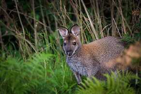 River Vineyard Retreat
