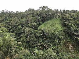 Ubud Paras Villa