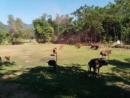 Mai Chau Xanh Bungalow