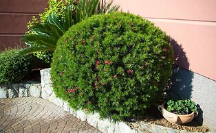 Luxury Three-bedroom Apartment With Amazing Overlook at the sea