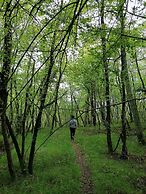 Luxury Three-bedroom Apartment With Amazing Overlook at the sea
