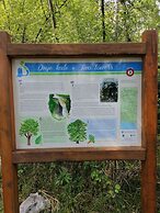 Luxury Three-bedroom Apartment With Amazing Overlook at the sea