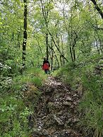 Luxury Three-bedroom Apartment With Amazing Overlook at the sea