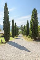 Verdidea - Podere del Mezzadro