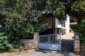 Nice Cozy Apartments C52