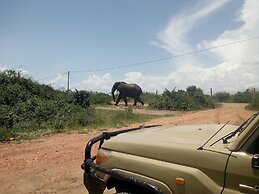 Buffalo Safari Lodge