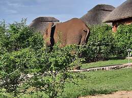 Buffalo Safari Lodge