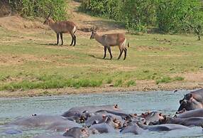 Buffalo Safari Lodge