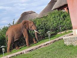 Buffalo Safari Lodge