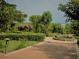 Buffalo Safari Lodge