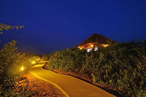 Buffalo Safari Lodge