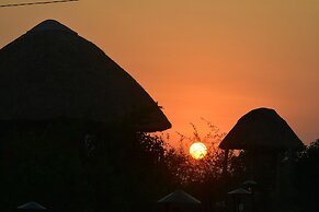 Buffalo Safari Lodge