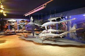 Napa City Apartments