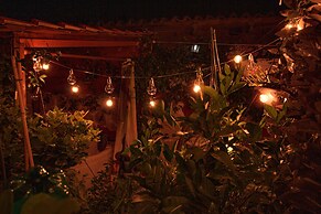 Eden Lilli - B & B Cartoceto