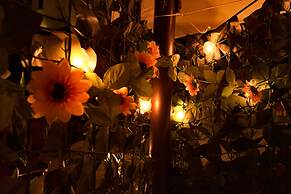 Eden Lilli - B & B Cartoceto