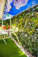 Eden Lilli - B & B Cartoceto