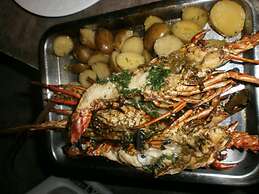 Guesthouse Villa la Isla