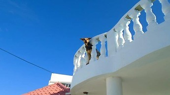 Guesthouse Villa la Isla