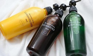 Fujieda Park in Hotel